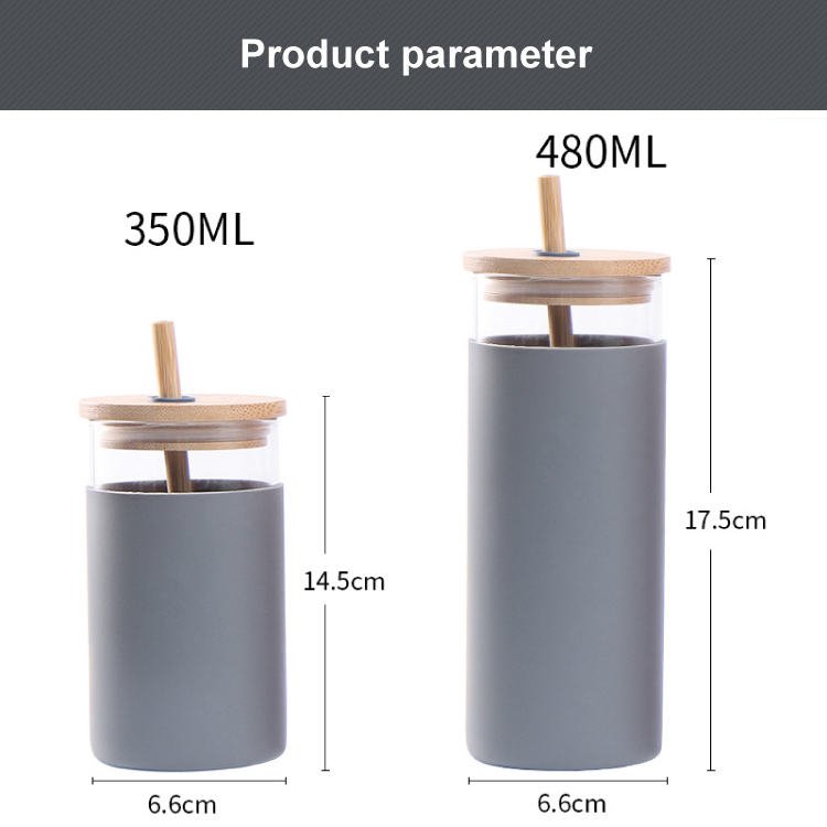 With Straw Glass Water Bottle (2)