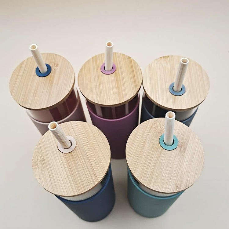 With Straw Glass Water Bottle (4)